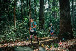 BIB: 
                            <button type="button" onclick="openModal(26079525)" class="btn btn-primary btn-sm float-right btn-popup" data-toggle="modal" data-target=".modal-high-quality">
                        <i class="fas fa-shopping-cart"></i> Add to Cart
                    </button>
                                            <button type="button" onclick="isThisMe(26079525, true)" class="btn btn-success btn-sm float-right btn-popup btn-isme hidden" data-toggle="tooltip" data-placement="bottom" title="นี่คือรูปของคุณใช่ไหม คลิกที่นี่เพื่อเอาเข้าอัลบั้ม">
                        <i class="fas fa-plus"></i> Add to album
                    </button>
                    <button type="button" onclick="isThisMe(26079525, false)" class="btn btn-warning btn-sm float-right btn-popup btn-isnotme hidden">
                        <i class="fas fa-ban"></i> Remove from album
                    </button>